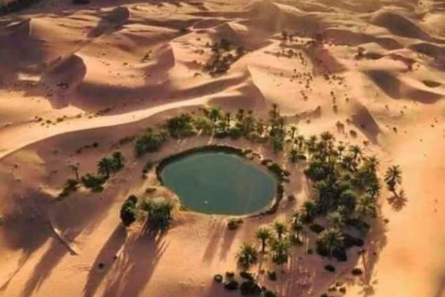 El Oasis de Siwa