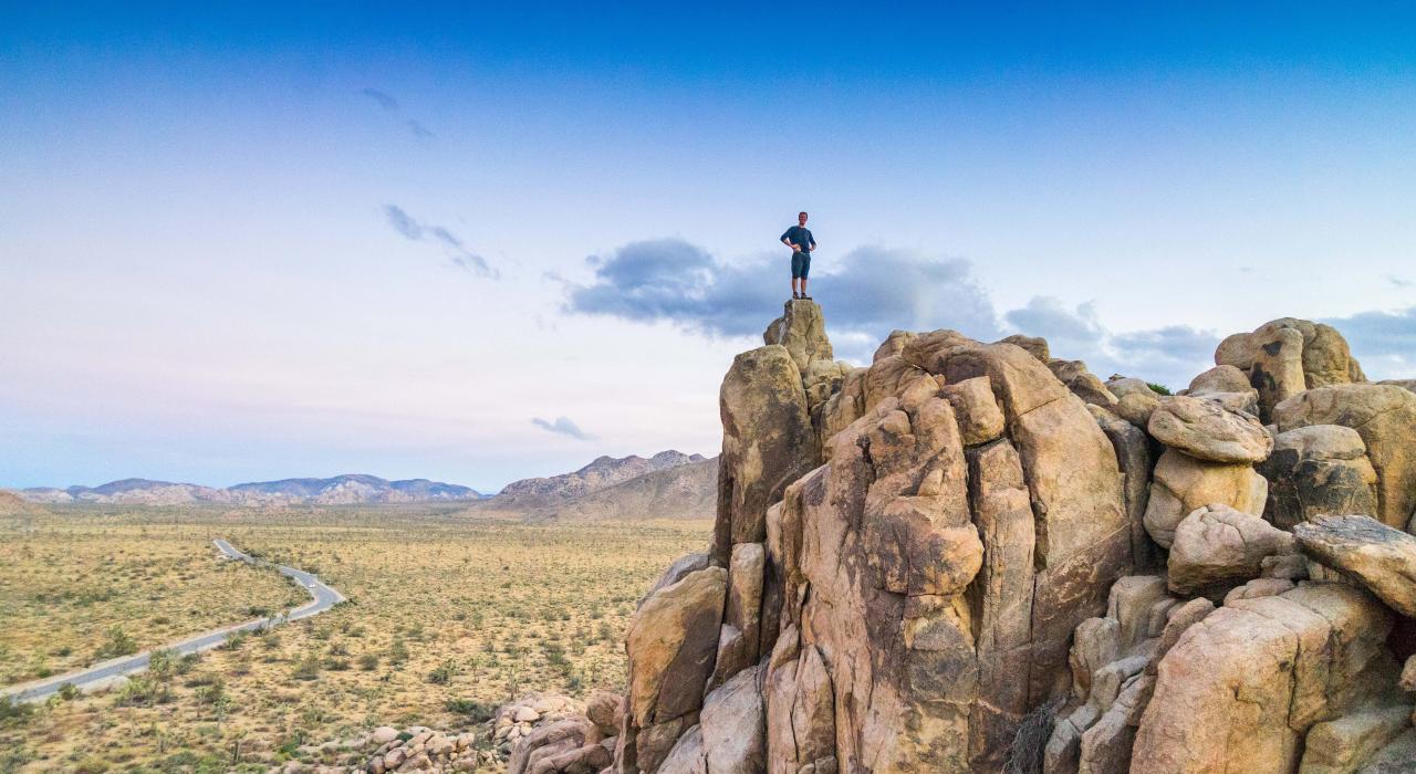 Parque Nacional de Joshua Tree